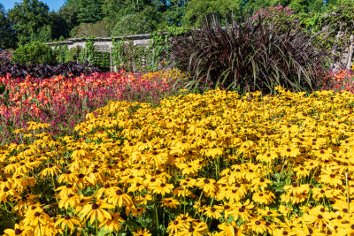 Walled flower garden
