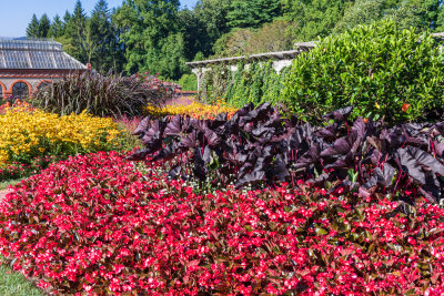 Walled flower garden