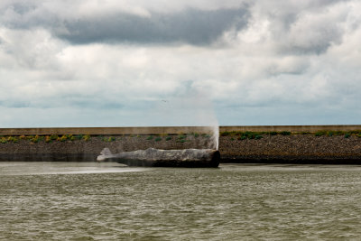 Iconic spouting whale in Harlingen harbor