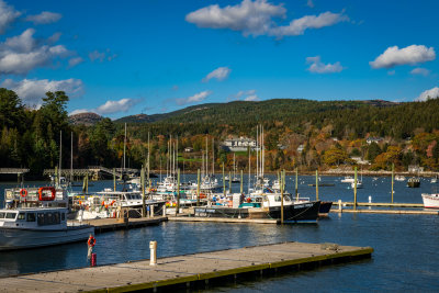 Northeast Harbor, Mount Desert Island, Maine