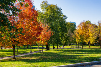 Boston Common