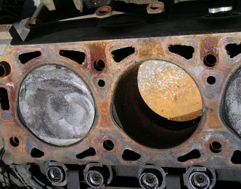 pb0825055.jpg