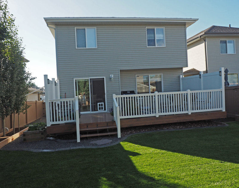 Back Yard10.JPG