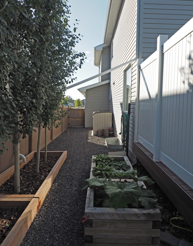 Back Yard13.JPG