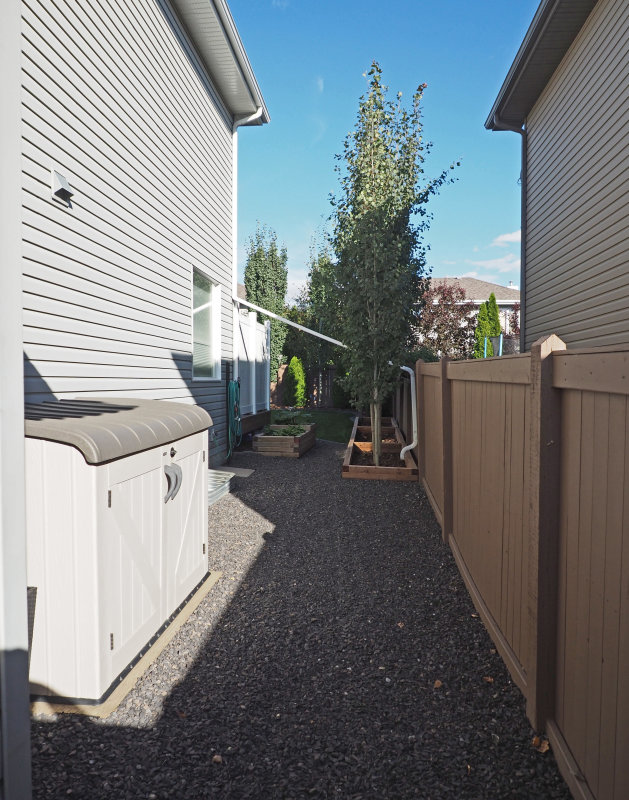 Back Yard14.JPG