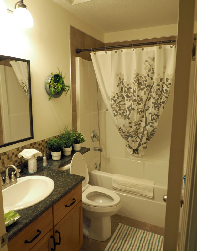 Main Bath.JPG