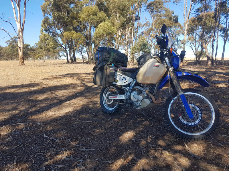 bendigo_ramble