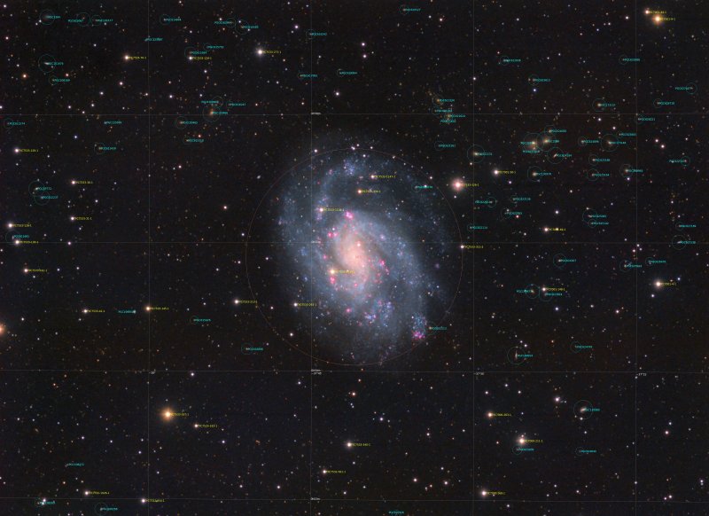 NGC300_HaLRGB_002_Annotated.jpg