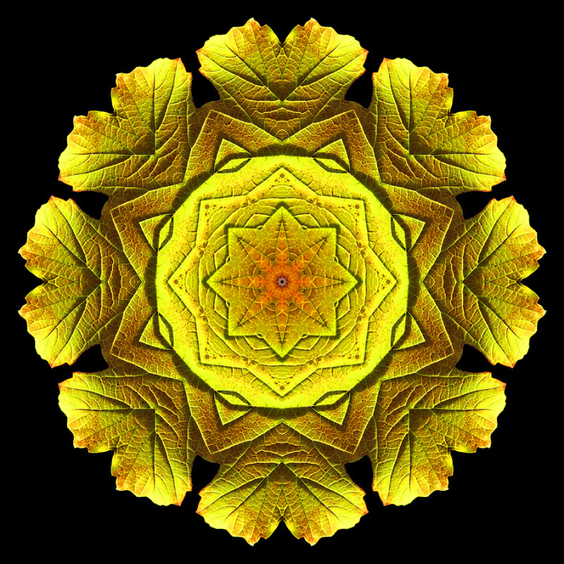 Kaleidoscope created with a yellow leaf seen at the forest in October