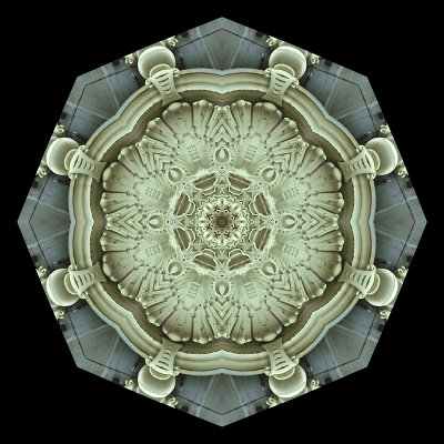 g12/54/24354/3/168804742.PdgzU8W7.jpg