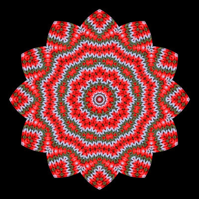 g12/54/24354/3/168953511.Id8fsWzz.jpg
