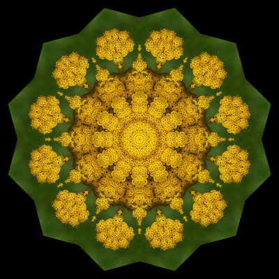 Kaleidoscope created with a flower seen next to the railway track in Zrich