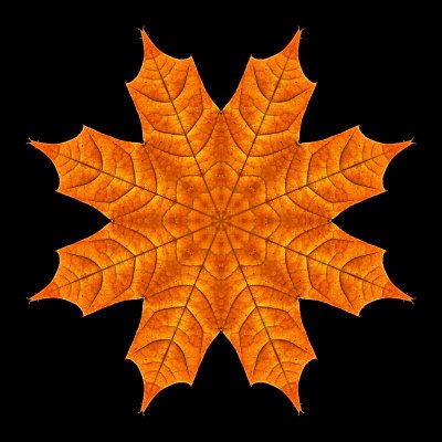 Kaleidoscope of a colored leaf seen in October