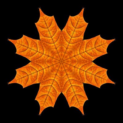 Kaleidoscope of a colored leaf seen in October