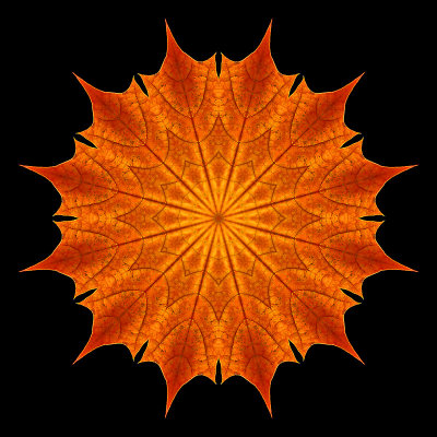 Kaleidoscope of a colored leaf seen in October