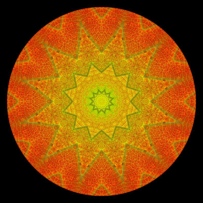 Kaleidoscope created with an autumn leaf in October