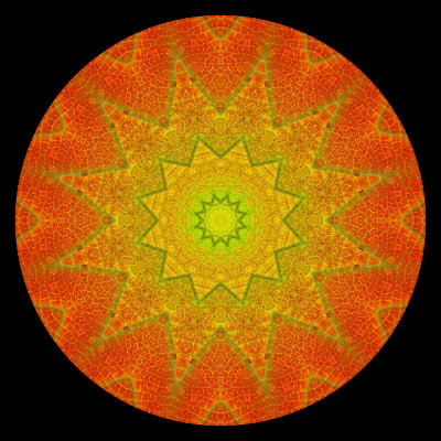 Kaleidoscope created with an autumn leaf in October