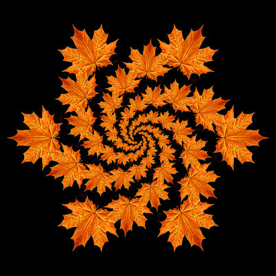 Spiral kaleidoscope created with an autumn leaf seen in October