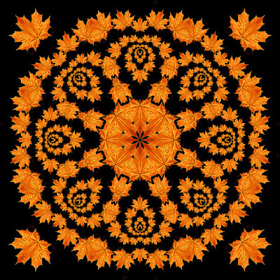 Evolved kaleidoscope created with an autumn leaf seen in October