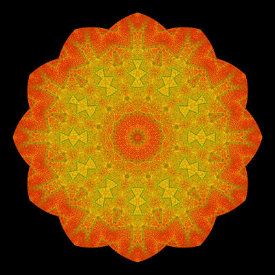 Evolved kaleidoscope created with an autumn leaf in October