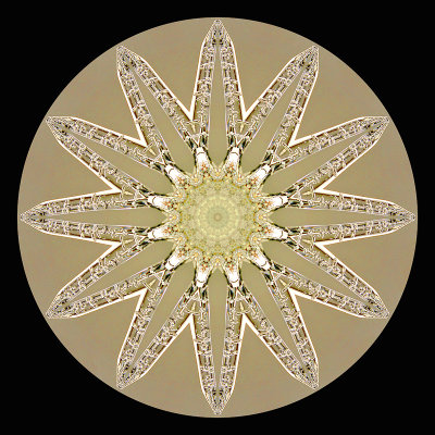 Kaleidoscope created with a picture of an icicle