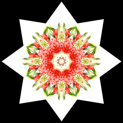 Kaleidoscope created with an art card receiver for New Year