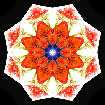 Kaleidoscope created with an art card I got for New Year