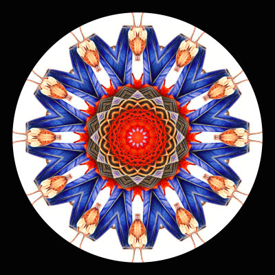 Kaleidoscope created with an art card I got for New Year
