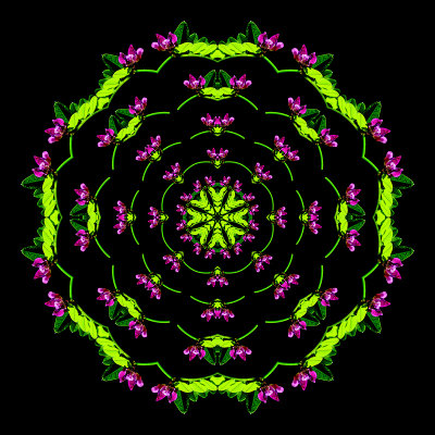 Evolved kaleidoscope created out of the spiral pattern
