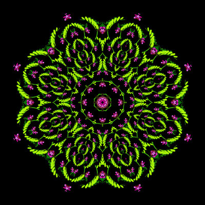 Evolved kaleidoscope created out of the spiral pattern