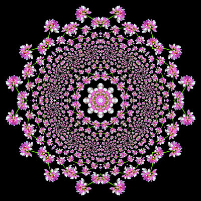 Evolved kaleidoscope created with the spiral arrangement