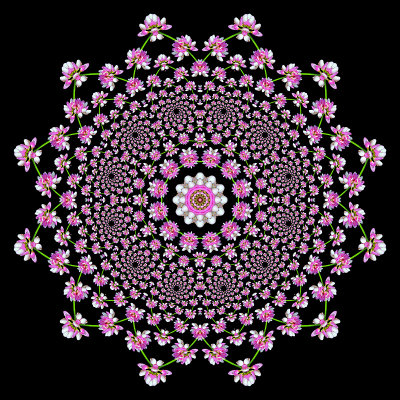 Evolved kaleidoscope created with the spiral arrangement