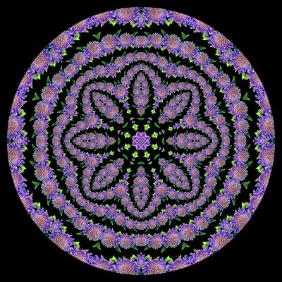 Evolved kaleidoscopic picture created with a wild flower