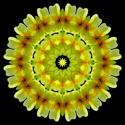 Kaleidoscopic picture created with a wild Primula Vera seen in the forest