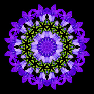 Kaleidoscopic creation with the wild bluebell flower