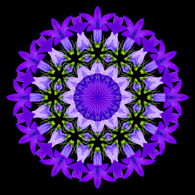 Kaleidoscopic creation with the wild bluebell flower