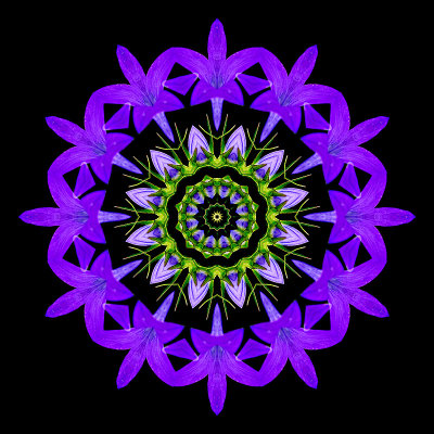 Kaleidoscopic creation with the wild bluebell flower