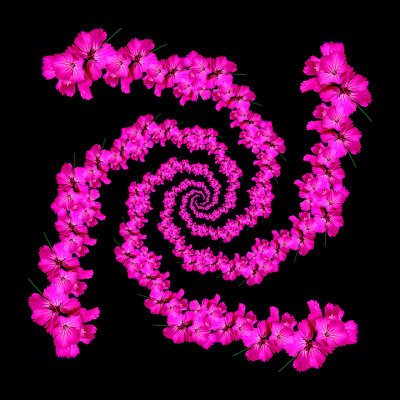 Iregular spiral arrangement