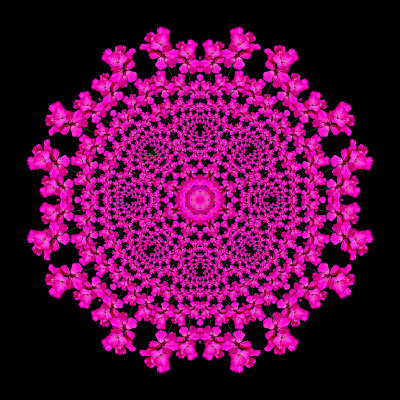 Evolved kaleidoscope created with the spiral arrangement