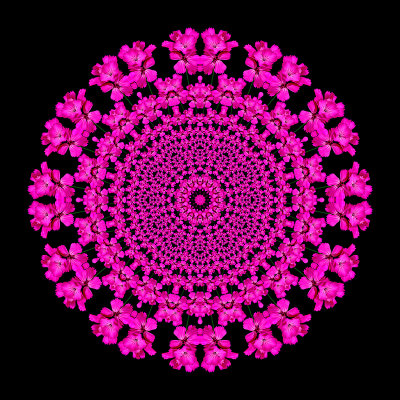 Evolved kaleidoscope created with the spiral arrangement