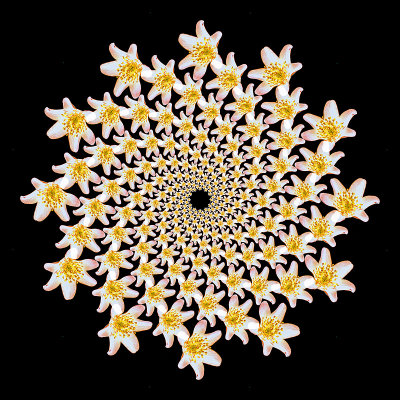g12/54/24354/3/170452471.MxBkbsEM.jpg