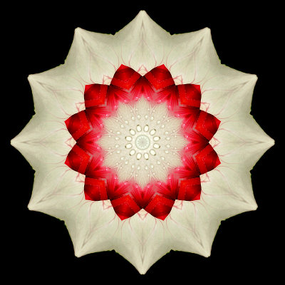 g12/54/24354/3/170477287.c8hsIalr.jpg
