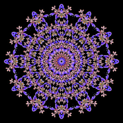 Evolved kaleidoscope created with a wild salvia flower