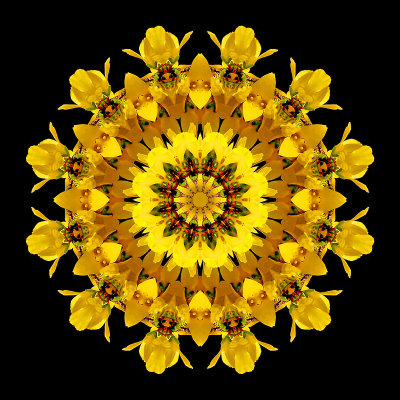 Kaleidoscopic picture created with Forsithia bloom