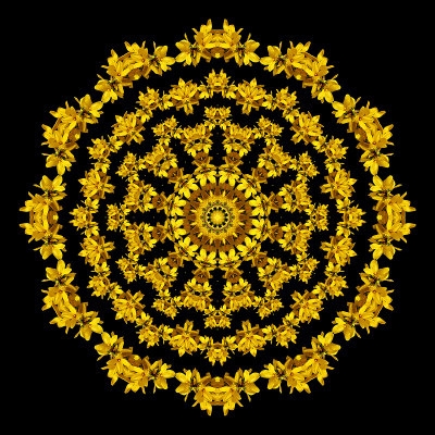 Evolved kaleidoscope created with bloom of Forsithia bush