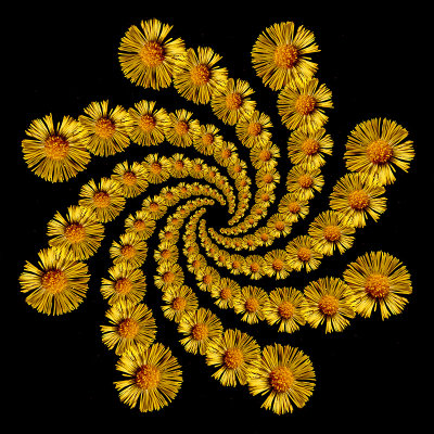 g12/54/24354/3/170512936.ZxTQKVkP.jpg