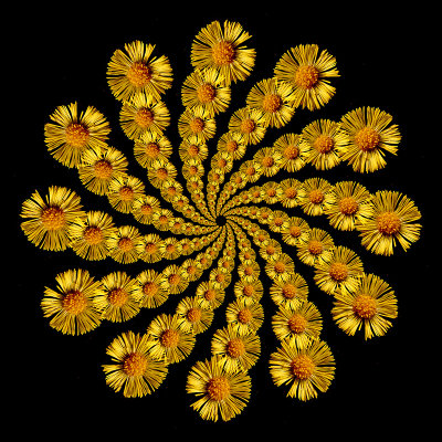g12/54/24354/3/170512937.hSxMkyPA.jpg