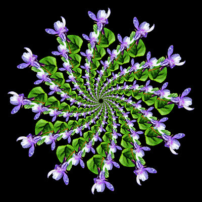 g12/54/24354/3/170606813.1rUh15GX.jpg