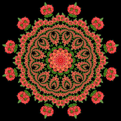 Evolved kaleidoscope created with a flower seen in the garden in May