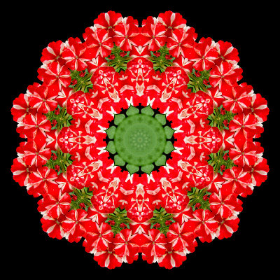 Kaleidoscope created with a flower seen in the garden in May